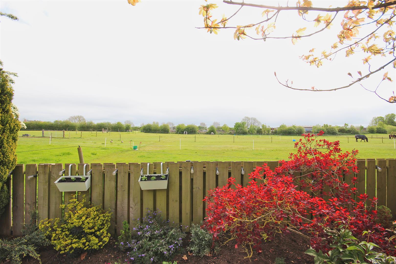 The Bryants, Leven